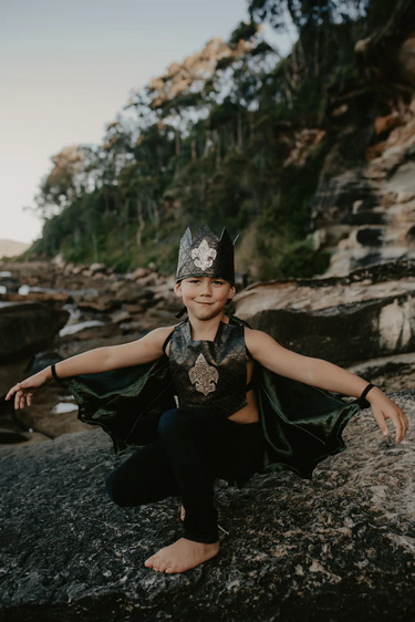 The Dragon Knight - Wings, Armour & Crown
